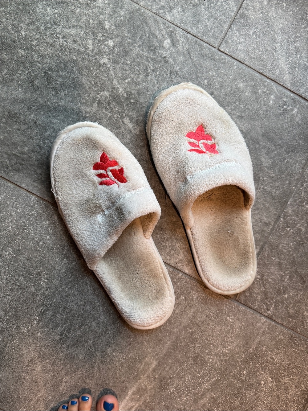 Hotel Bel Air slippers Plush Slip-On House Slippers with Red Floral Embroidery